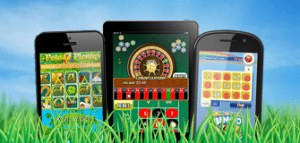 winneroo devices sms bingo landline billing option